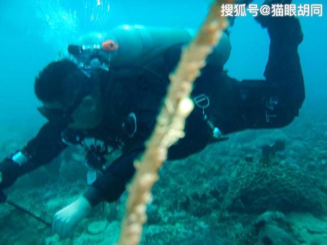 懒惰男孩逃脱