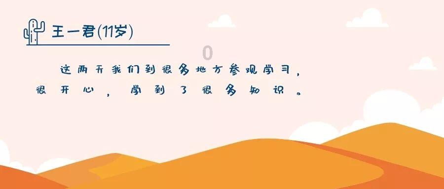 彼得比尔特379拼图