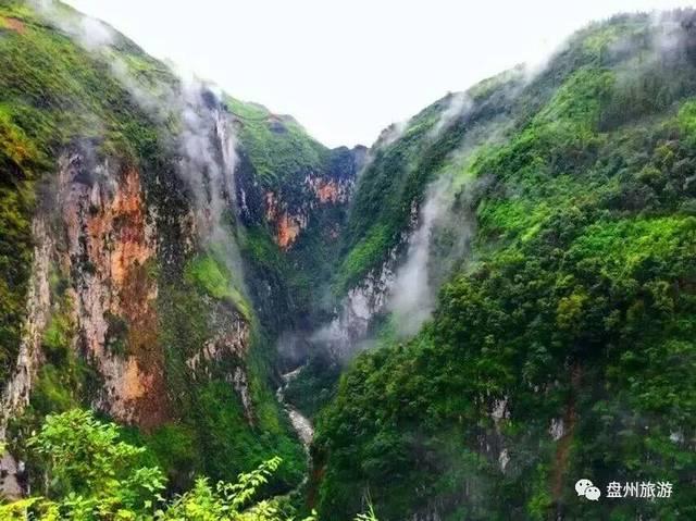 救援农场少年