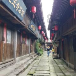受伤21天后，“海棠”将回归大海